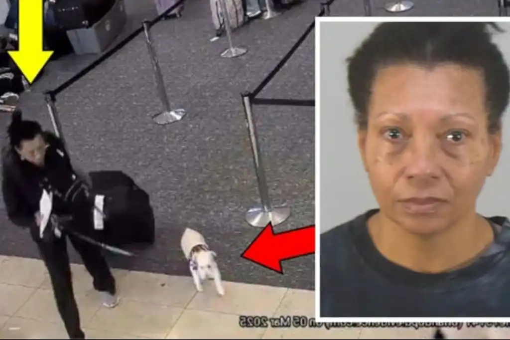 Una mujer decidió ahogar a su perro en los baños del aeropuerto internacional de Orlando después de que le fuera negado el acceso a la pequeña mascota por no cumplir con requisitos necesarios.