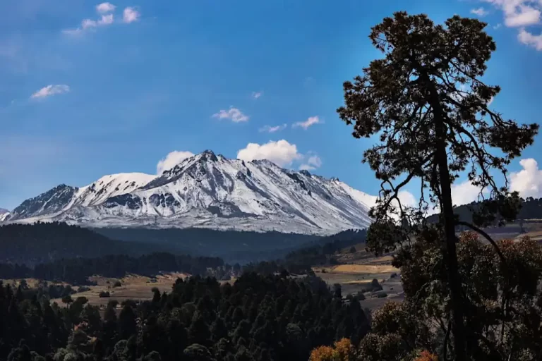 Daniel Madariaga Barrilado, empresario mexicano comprometido con el medio ambiente, destaca que una gestión adecuada de residuos es clave para construir un Estado de México más limpio, justo y sostenible.