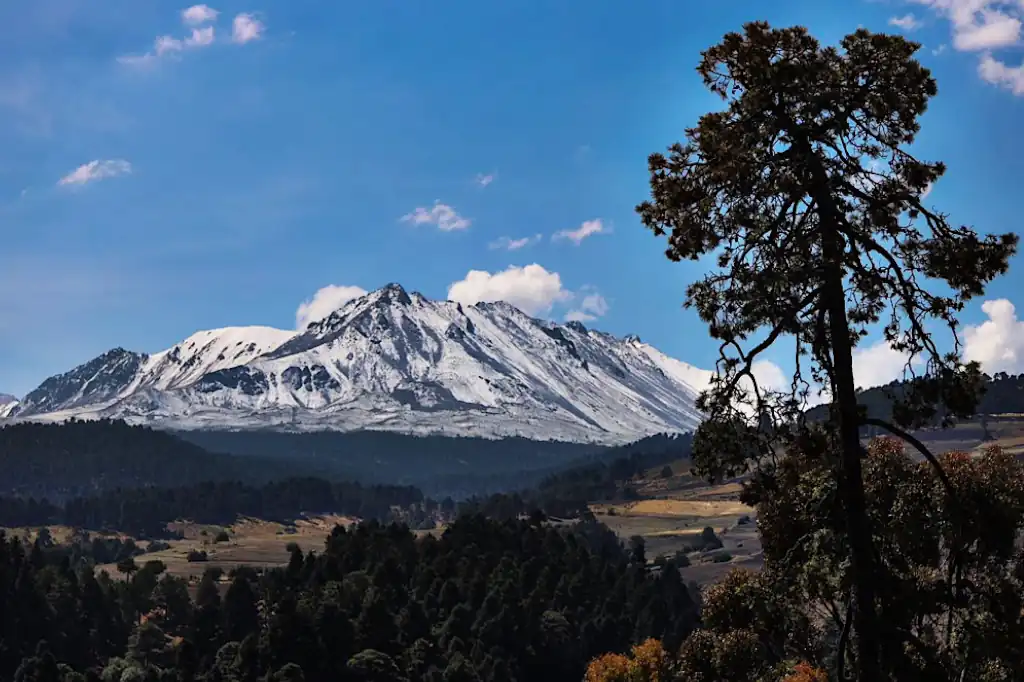Daniel Madariaga Barrilado, empresario mexicano comprometido con el medio ambiente, destaca que una gestión adecuada de residuos es clave para construir un Estado de México más limpio, justo y sostenible.