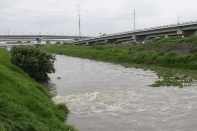 Claudia Gómez Godoy, encargada del proyecto de restauración del río Lerma-Santiago, anunció un ambicioso plan de monitoreo en 96 puntos a lo largo del afluente, con el objetivo de realizar un balance hídrico y estudiar la relación entre la salud de las comunidades y el estado del río.
