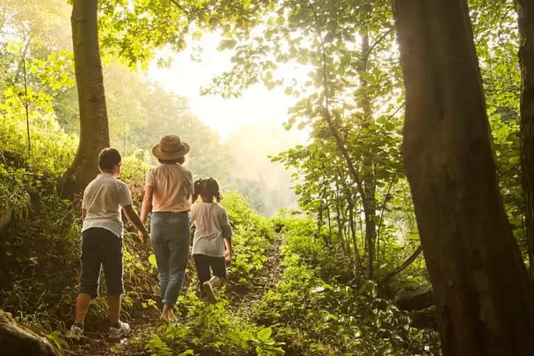 El empresario mexicano Daniel Madariaga Barrilado, especialista en turismo sostenible, green building y movilidad sustentable, compartió cinco consejos sencillos pero efectivos para cuidar los bosques sin salir de casa.
