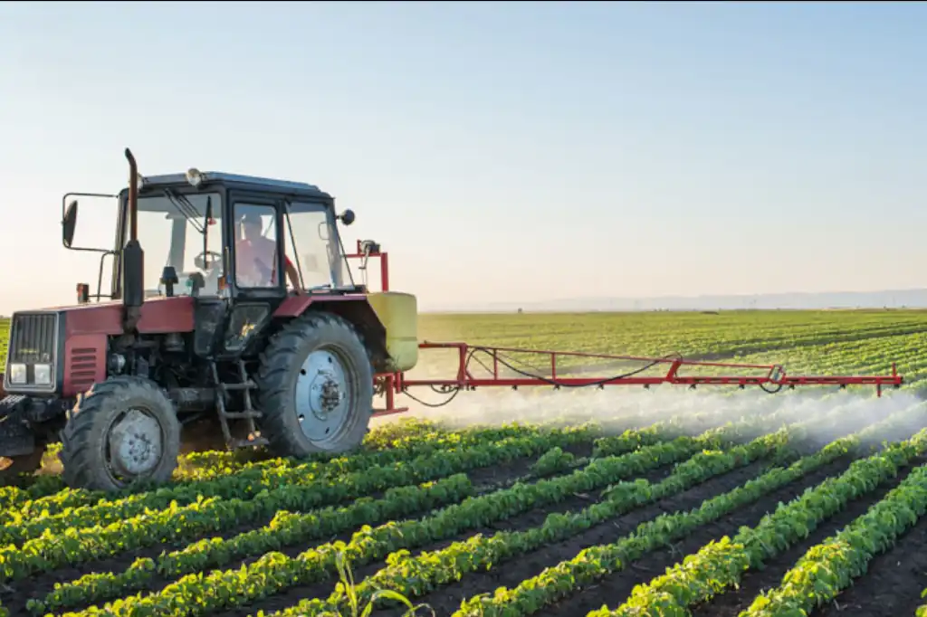 Un futuro sostenible en la cadena alimentaria es posible: Daniel Madariaga Barrilado.