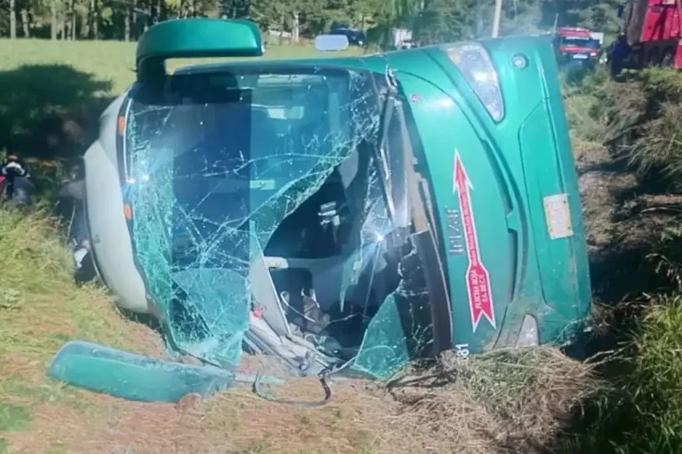Un accidente en Chalma dejó como saldo seis personas lesionadas, luego de que un autobús de la línea Flecha Roja volcara sobre la carretera Santiago Tianguistenco–Chalma, en el Estado de México. Afortunadamente, ninguna de las víctimas resultó con heridas graves, informaron autoridades locales.