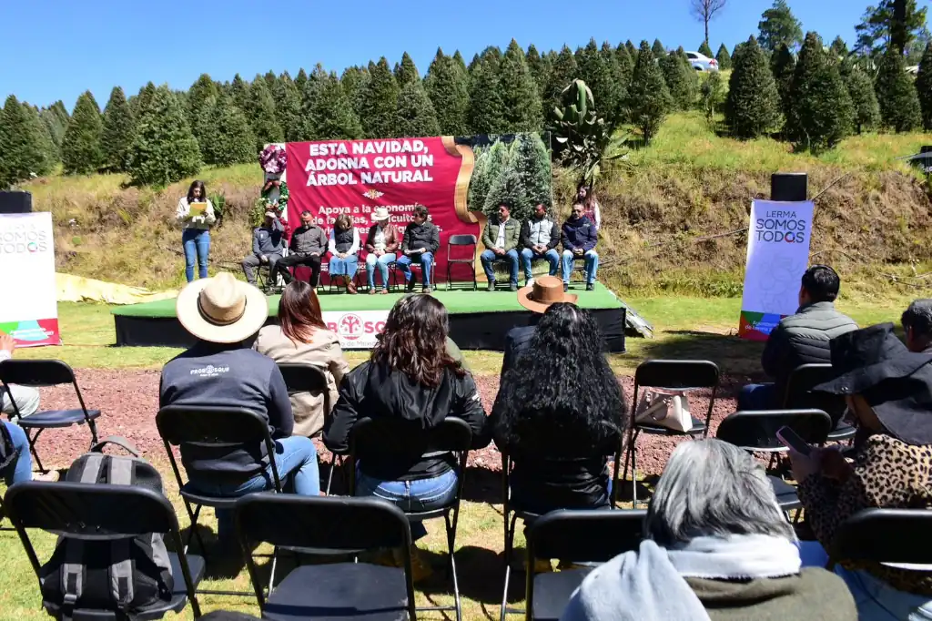 El Estado de México se ha posicionado como el principal productor de árboles de Navidad en el país, gracias a sus 650 plantaciones registradas y una producción anual cercana a los 472 mil ejemplares de primera calidad.