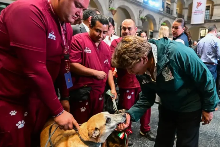 Edomex da paso histórico con nueva ley de bienestar animal