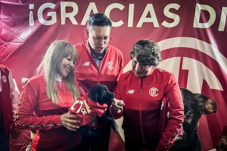 Promueven adopción de perros y gatos en partido México vs Serbia que de jugará en Toluca