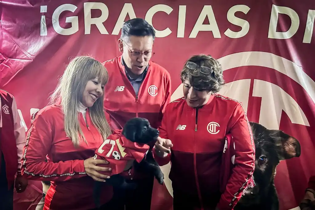 Promueven adopción de perros y gatos en partido México vs Serbia que de jugará en Toluca