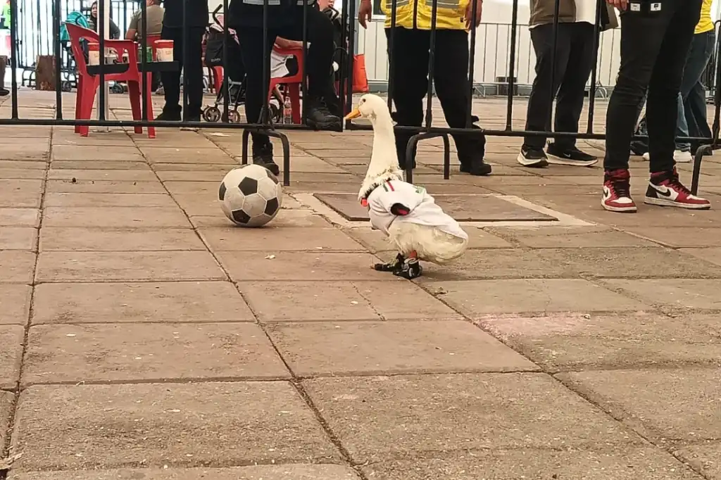 Pato Merlín conquista el Gol Fest en Naucalpan y prepara el registro de su imagen ante el IMPI
