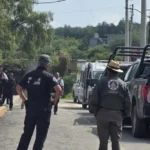Localizan a tigre escapado en Tepetlaoxtoc, pero terreno complica su captura