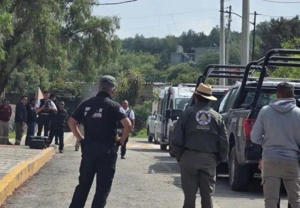 Localizan a tigre escapado en Tepetlaoxtoc, pero terreno complica su captura