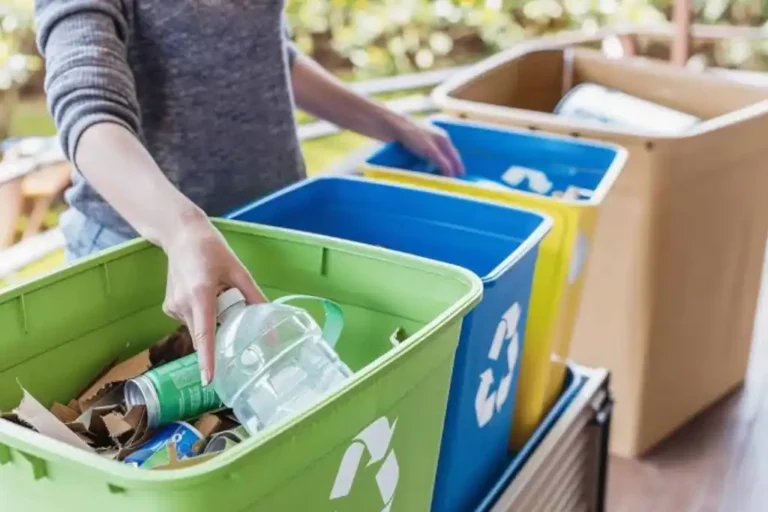 Daniel Madariaga Barrilado impulsa la cultura del reciclaje