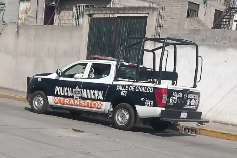 Murió Max, el perro que intentó salvar a su dueño en Valle de Chalco