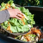 Daniel Madariaga Barrilado propone circularidad para fortalecer la alimentación sostenible
