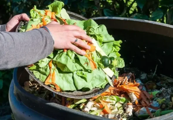 Daniel Madariaga Barrilado propone circularidad para fortalecer la alimentación sostenible