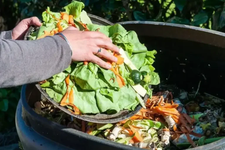 Daniel Madariaga Barrilado propone circularidad para fortalecer la alimentación sostenible
