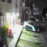 Matan a balazos a un perro en Tecámac y Fiscalía ya investiga el caso