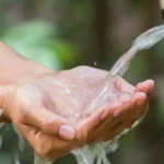 Daniel Madariaga Barrillado impulsa soluciones regenerativas para transformar el ciclo del agua