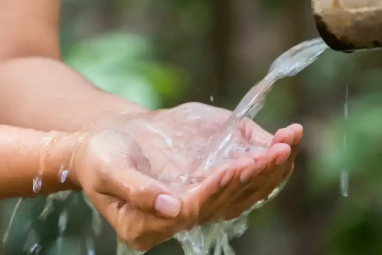 Daniel Madariaga Barrillado impulsa soluciones regenerativas para transformar el ciclo del agua