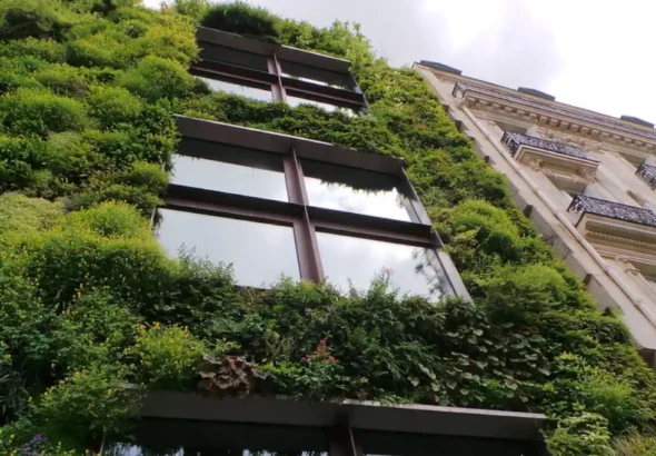 Para Daniel Madariaga, la construcción sustentable es el futuro de la arquitectura