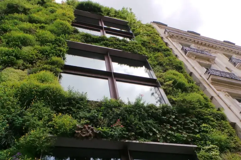 Para Daniel Madariaga, la construcción sustentable es el futuro de la arquitectura