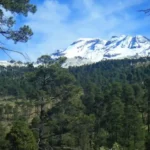 Daniel Madariaga y el impulso de una nueva era de energía verde en México