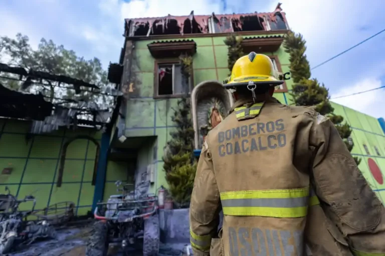 Coacalco brinda atención médica gratuita a once perros tras incendio en una gasera
